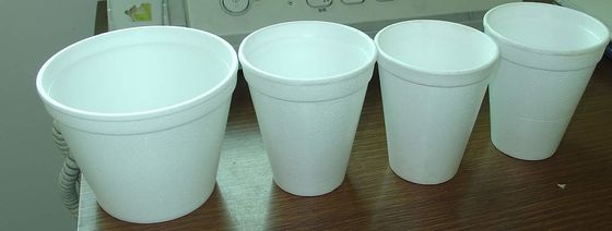 Máquina de fabricación de tazas de vapor EPS de alimentación a presión giratoria