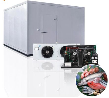Almacenamiento en frío mini Alimentos Salas de frío portátiles